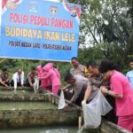 Dukung Ketahanan Pangan, Polrestabes Medan Budidayakan 16.000 Bibit Lele di Delapan Kolam